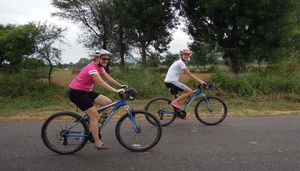 Culture & Wildlife in Rajasthan: A Cycling Tour