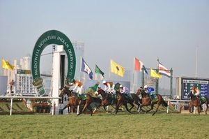 A Day Out With Millionaire Equines