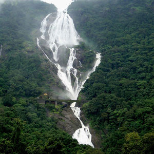 From The Best Beach To The Best Waterfall :- Dudhsagar Waterfall (Goa)