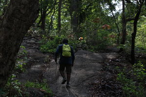 An adventuruous weekend trek in marotichal !