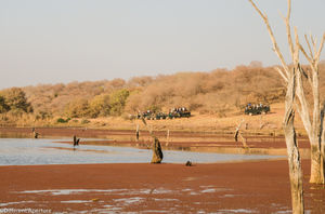 Finding The Tigeress: Ranthambore