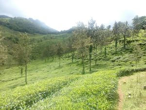 Wayanad - My first long ride on bike