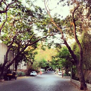 Pali Village 1/2 by Tripoto