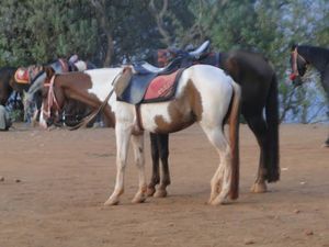 Matheran Magic