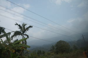 In the lap of nature - Coorg