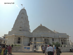 In the land of the Royals…..Jaipur