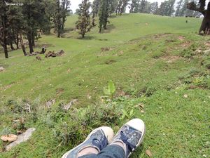 Chopta: Mini Switzerland