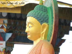 Tawang: An Unexplored Paradise