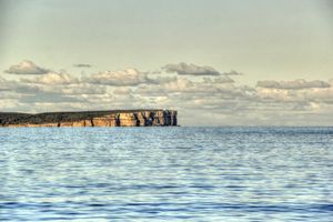 Dolphin watching at Jervis Bay