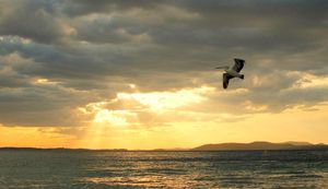 Port Stephens Visitor Information Centre 1/9 by Tripoto