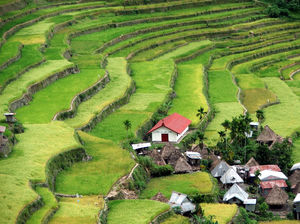 Exploring the Philippines in One Week