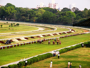 Kolkata Race Course Kolkata India: View Images Timing and Reviews