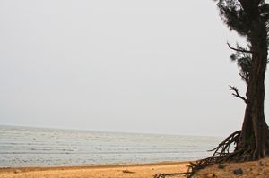 Your Next Weekend at Lonely Vanishing Beach Chandipur