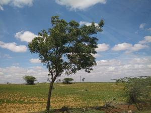 Hampi