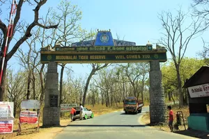 Mudumalai National Park 1/undefined by Tripoto