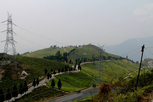 Ride to the “Land of Thunder Dragon”