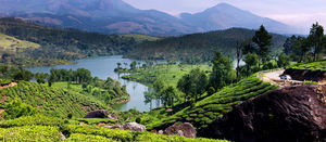 Kerala on budget