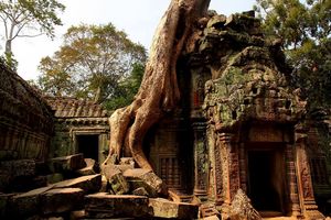 Ta Prohm 1/5 by Tripoto