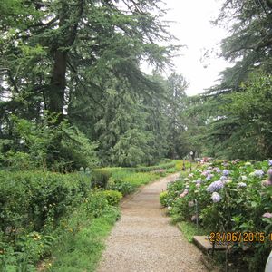 Shimla- An escape to nature.