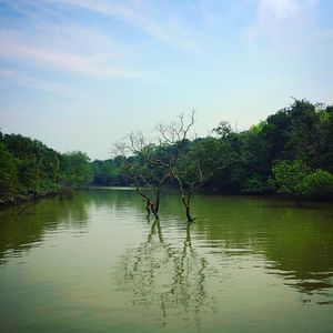 Bhitarkanika a explorers Delight
