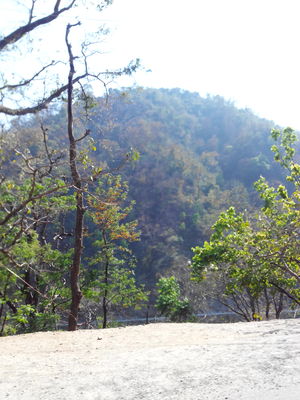 Rishikesh - " Where Beauty Meets Adventure "
