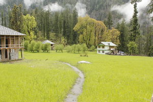 Kasol: Backpackers paradise