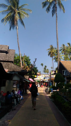Phi Phi – Paradise on Earth