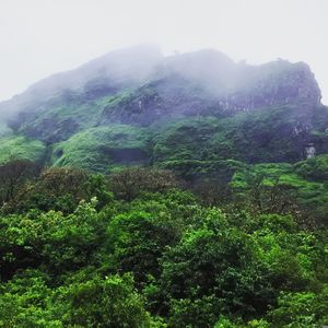 The Korigad Fort Trek