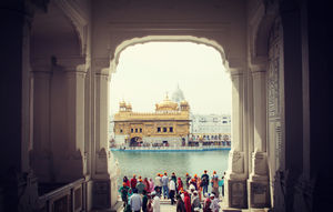 Synesthesia: 36 Hours in Amritsar