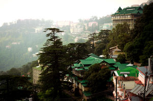Charm amongst the Chaos {Shimla}
