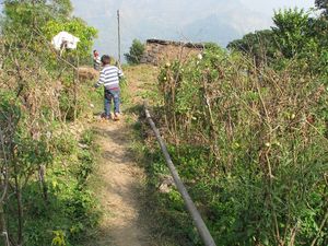 Explore the other side of Nainital-Farms & Homestays