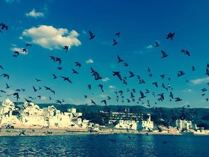 Pushkar and it's magical healing power