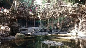 Shillong 1/3 by Tripoto
