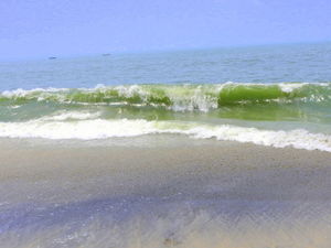 A day in the beach - Alappuzha, Kerala