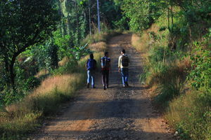 Paithalmala, Kerala diaries