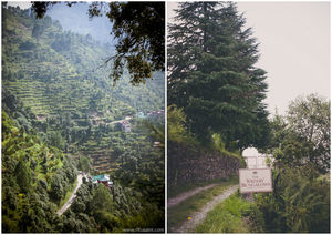 The Ramgarh Bungalows – Simple joys of Life