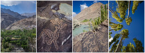 Hidden treasure of Ladakh