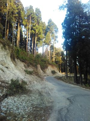 Homestay in North Bengal