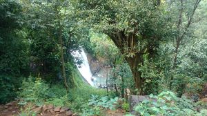 This Shimmering Waterfall Near Mumbai Should Be Your Next Weekend Getaway