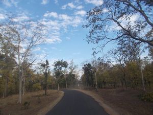 A trip to Pench-Patalkot with childhood friends