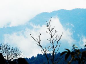 From Lake to Mountains of God (Sandakphu Trek)