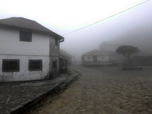 Among the Serenity of Clouds (Sandakphu Trek)