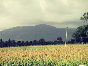 In the lap of Mother Nature – Wayanad