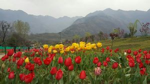 Kashmir in spring