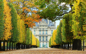 Tuileries Garden 1/2 by Tripoto