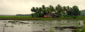 Divar Island Goa Itinerary: How to Reach, Things to Do On Divar Island
