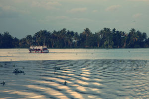Head To Vembanad Lake To Escape The Chaos Of Your City Life