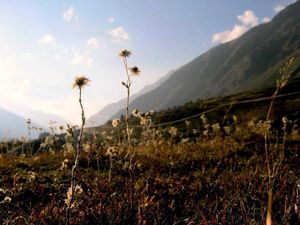 The End Of The Trek - Kheerganga, Parvati Valley