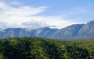 This Stunning Road Trip From Bangalore To The Misty Nilgiris Is Perfect For The Long Weekend
