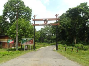 Trip to Buxa Tiger Reserve